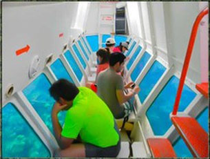 Tour_-of-Roatan-and-Glass-Bottom-Boat_8r86drra